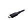 Thumb 500square 88de71eeb3ba70525226215593c842130c6a783a